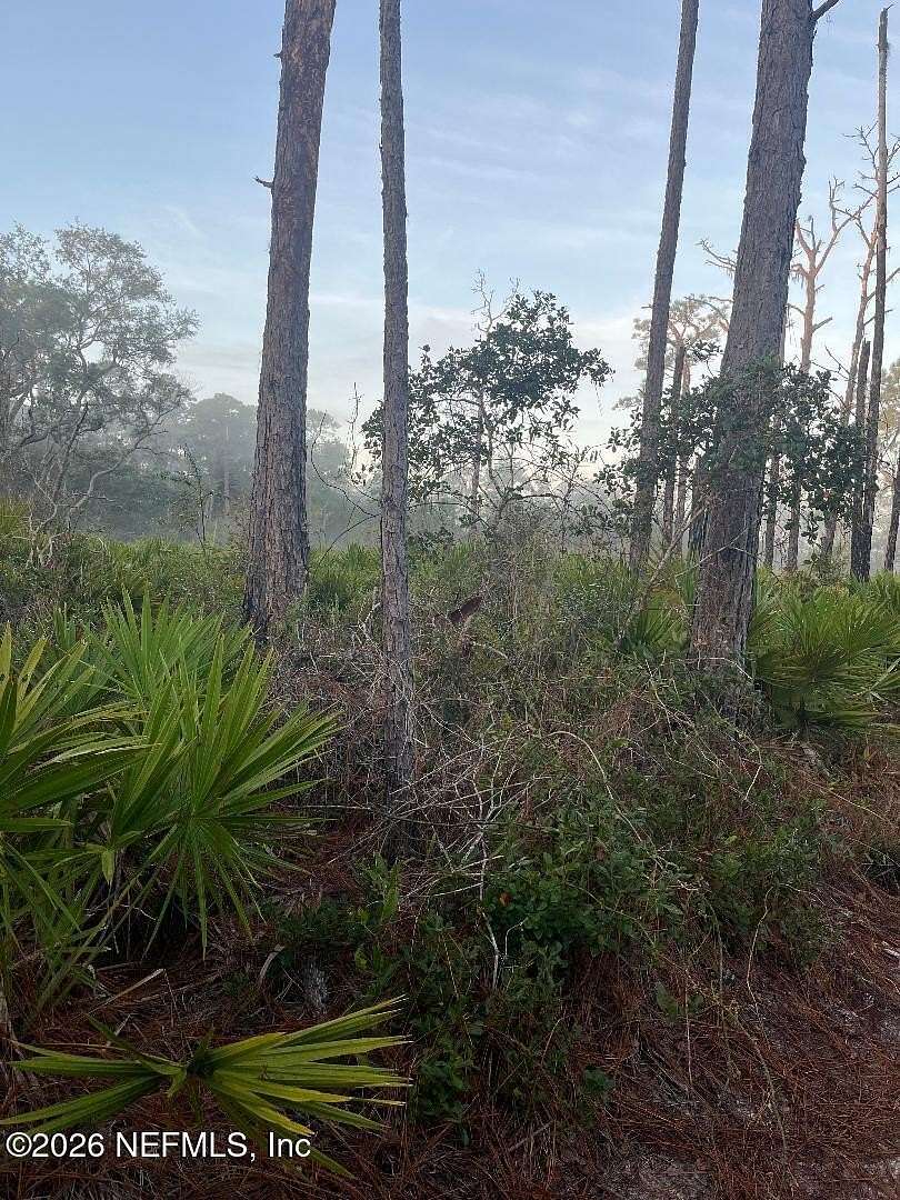 0.25 Acres of Residential Land for Sale in Crescent City, Florida
