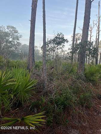 0.25 Acres of Residential Land for Sale in Crescent City, Florida