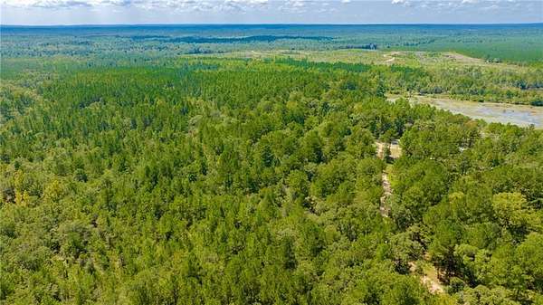 23 Acres of Recreational Land for Sale in Tibbie, Alabama