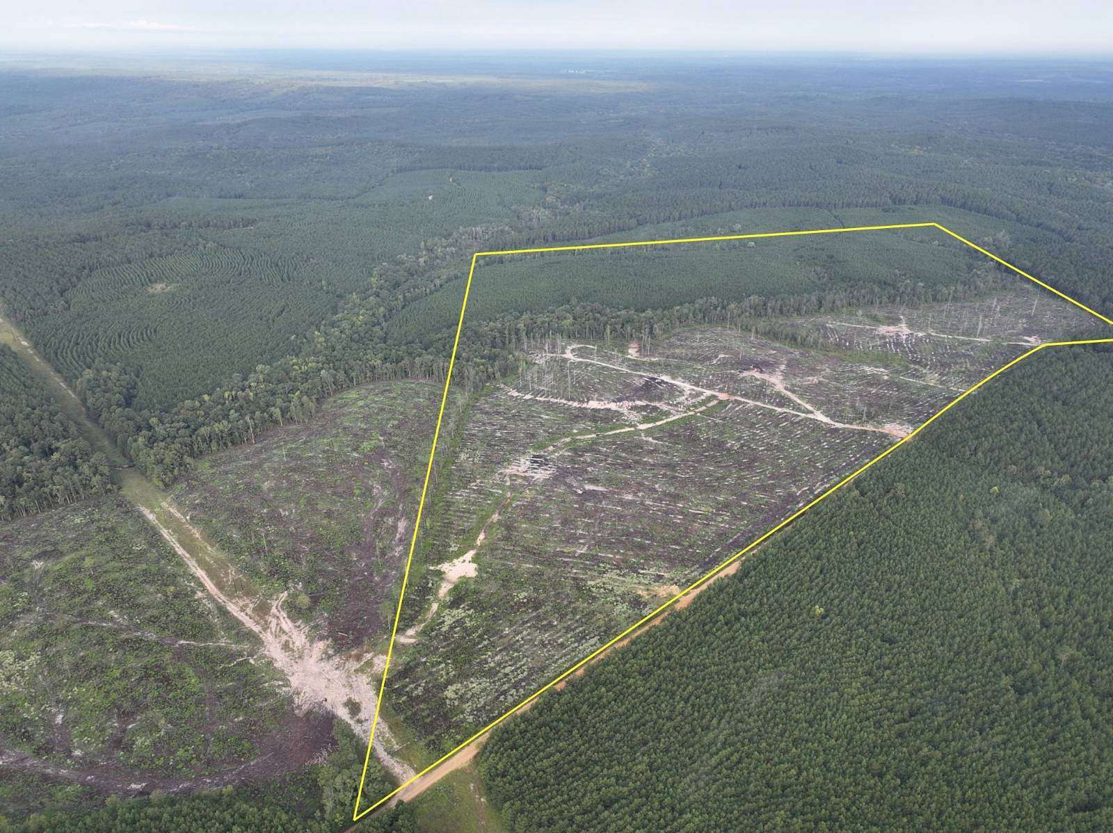 138 Acres of Recreational Land for Sale in Robeline, Louisiana