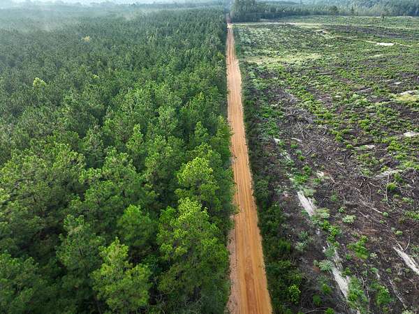 102 Acres of Recreational Land for Sale in Robeline, Louisiana