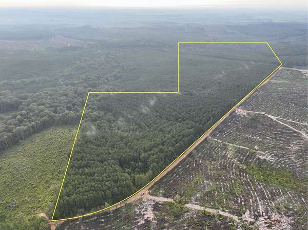 102 Acres of Recreational Land for Sale in Robeline, Louisiana