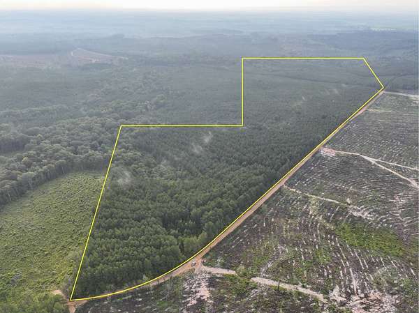 102 Acres of Recreational Land for Sale in Robeline, Louisiana