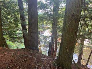 20.6 Acres of Recreational Land for Sale in Pitcairn, New York