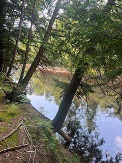 20.6 Acres of Recreational Land for Sale in Pitcairn, New York