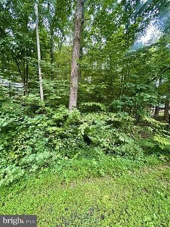 0.58 Acres of Land for Sale in Louisa, Virginia