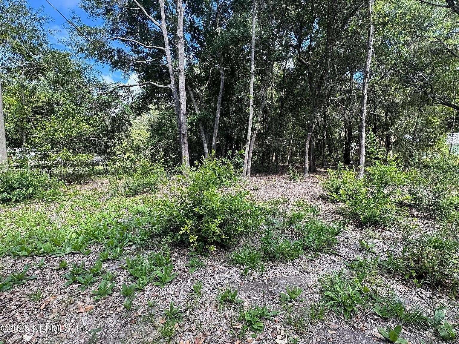 0.2 Acres of Residential Land for Sale in Hawthorne, Florida