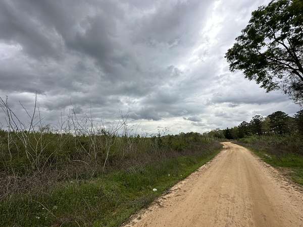 25 Acres of Recreational Land for Sale in Red Level, Alabama