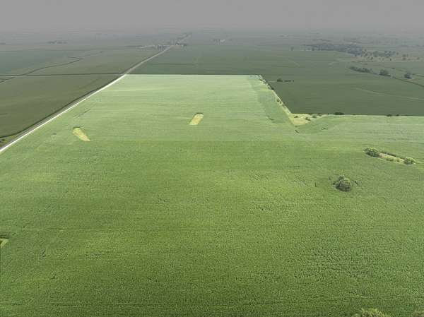 118 Acres of Agricultural Land for Sale in Princeton, Illinois