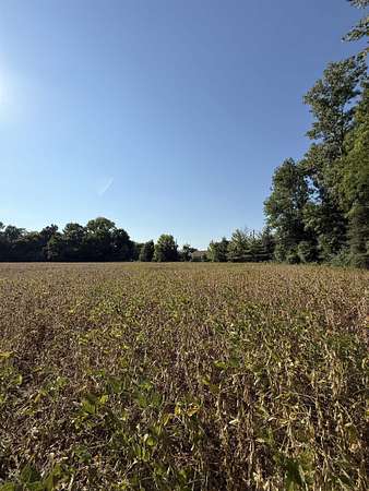 43.8 Acres of Recreational Land & Farm for Sale in Millington, Tennessee