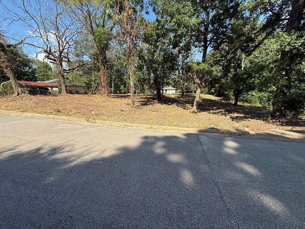 0.3 Acres of Residential Land for Sale in Center, Texas