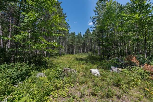 200 Acres of Recreational Land for Sale in Rhinelander, Wisconsin