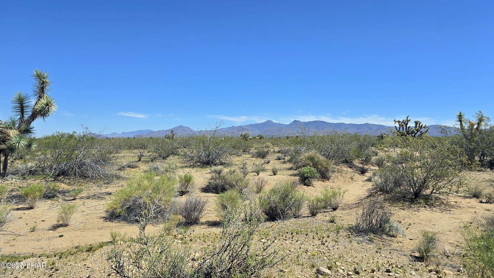 40 Acres of Recreational Land for Sale in Yucca, Arizona