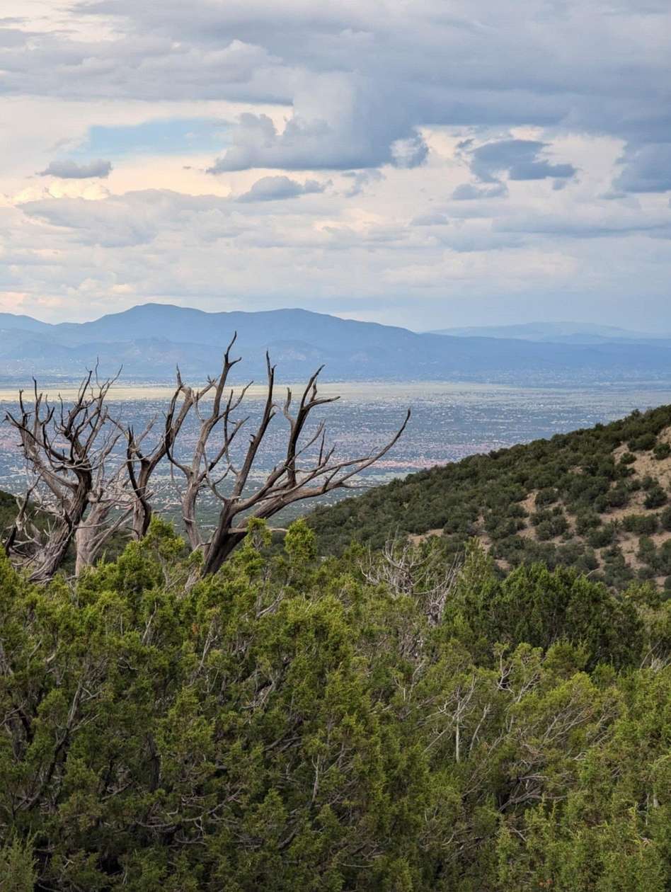 75.7 Acres of Recreational Land for Sale in Cerrillos, New Mexico