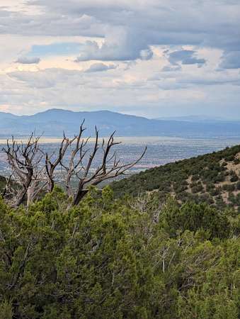 75.7 Acres of Recreational Land for Sale in Cerrillos, New Mexico