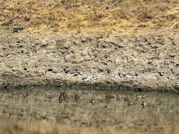 160 Acres of Land for Sale in San Jose, California