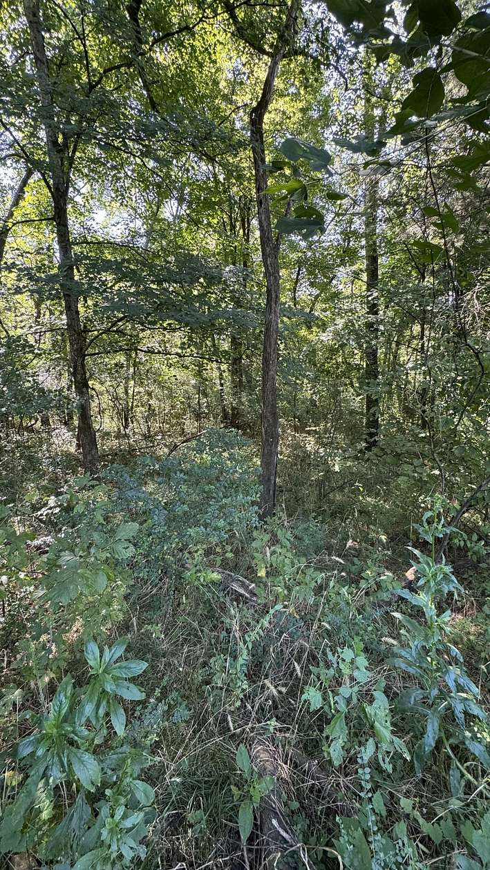 3.5 Acres of Residential Land for Sale in College Grove, Tennessee