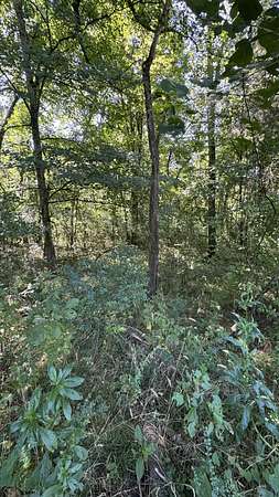 3.5 Acres of Residential Land for Sale in College Grove, Tennessee