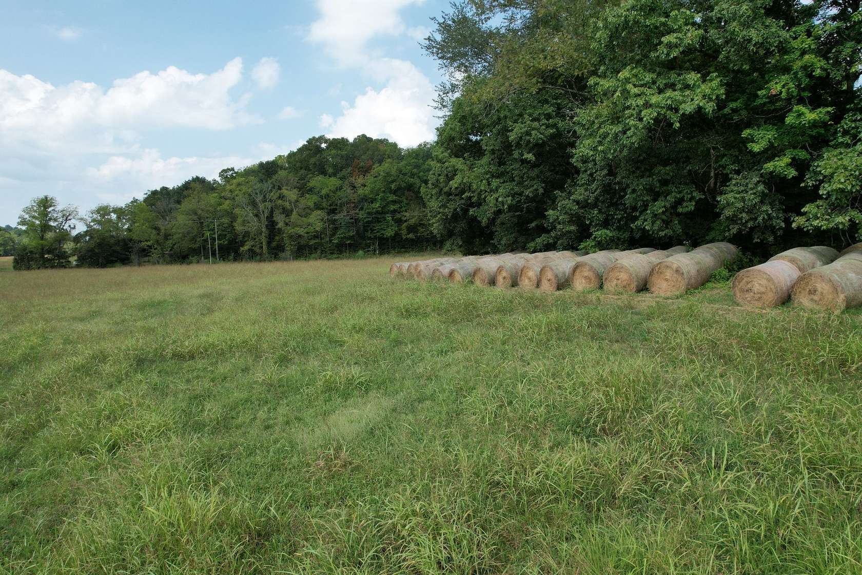 15 Acres of Land for Sale in Franklin, Tennessee