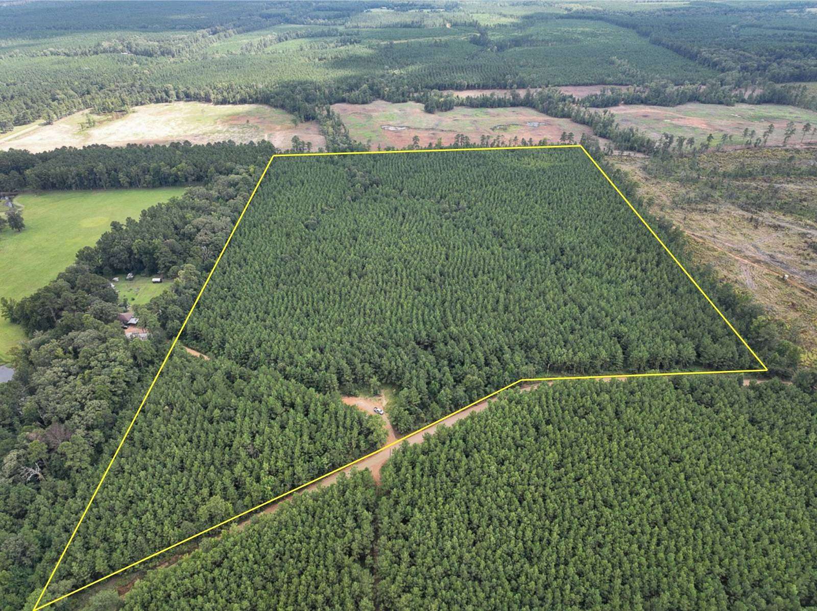 49 Acres of Recreational Land for Sale in Provencal, Louisiana