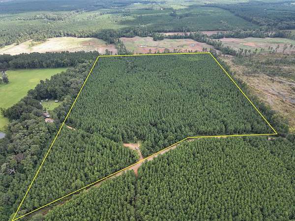 49 Acres of Recreational & Residential Land for Sale in Provencal, Louisiana