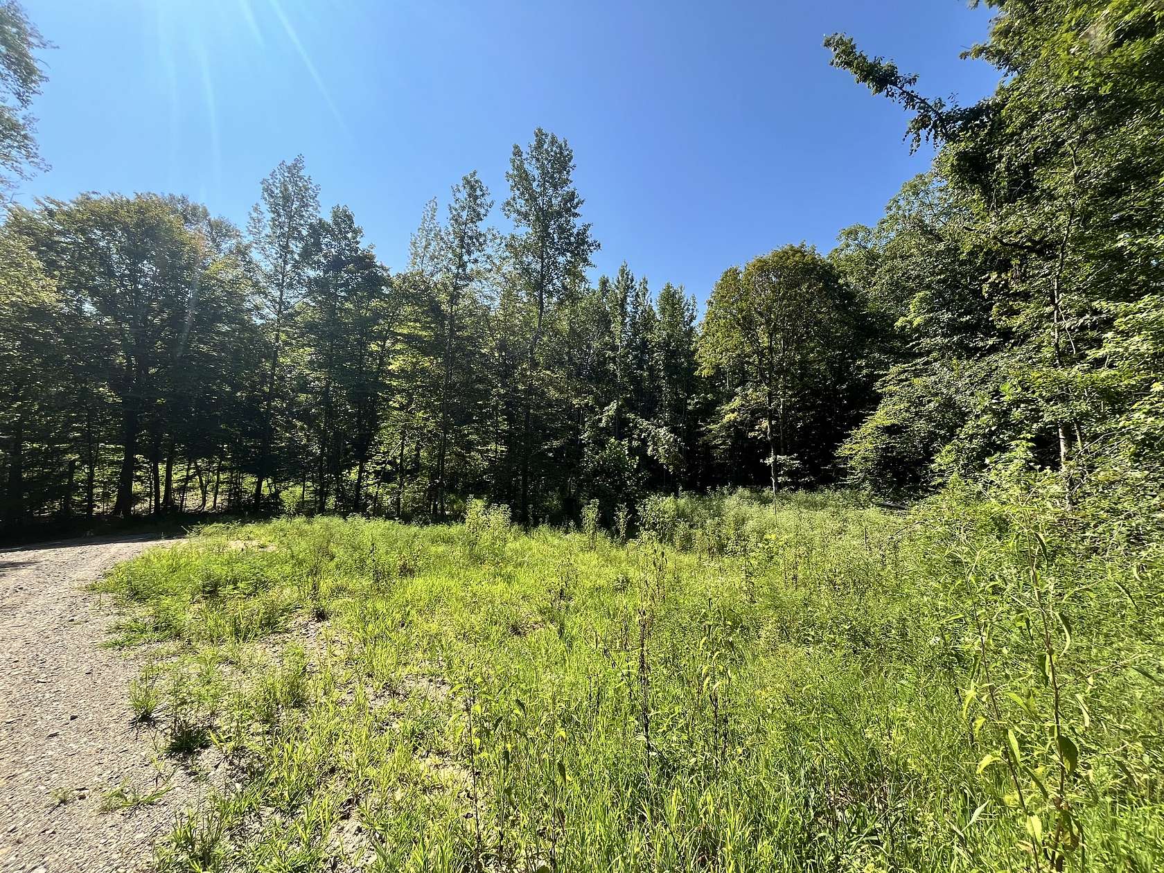 131 Acres of Recreational Land for Sale in McMinnville, Tennessee