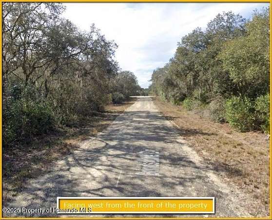 0.96 Acres of Residential Land for Sale in Webster, Florida