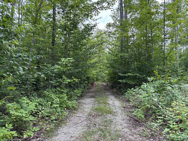 81.6 Acres of Recreational Land for Sale in Presque Isle, Michigan