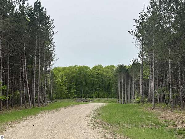 2 Acres of Land for Sale in Traverse City, Michigan