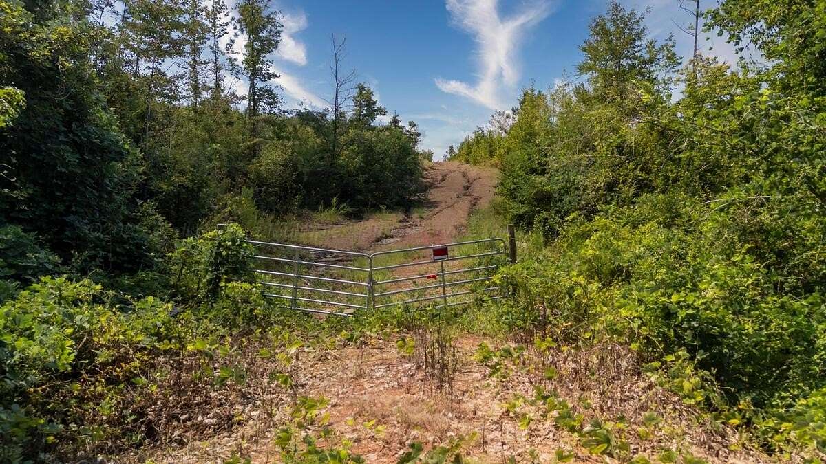 18.7 Acres of Land for Sale in Jasper, Alabama