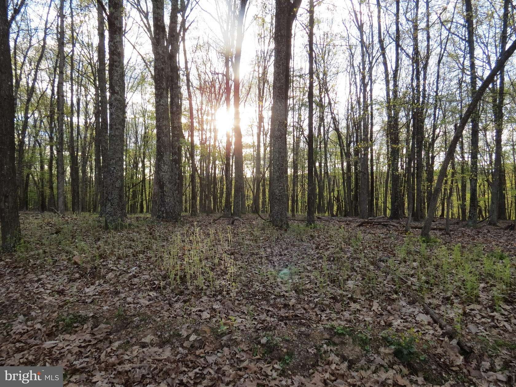 9.75 Acres of Land for Sale in Petersburg, West Virginia