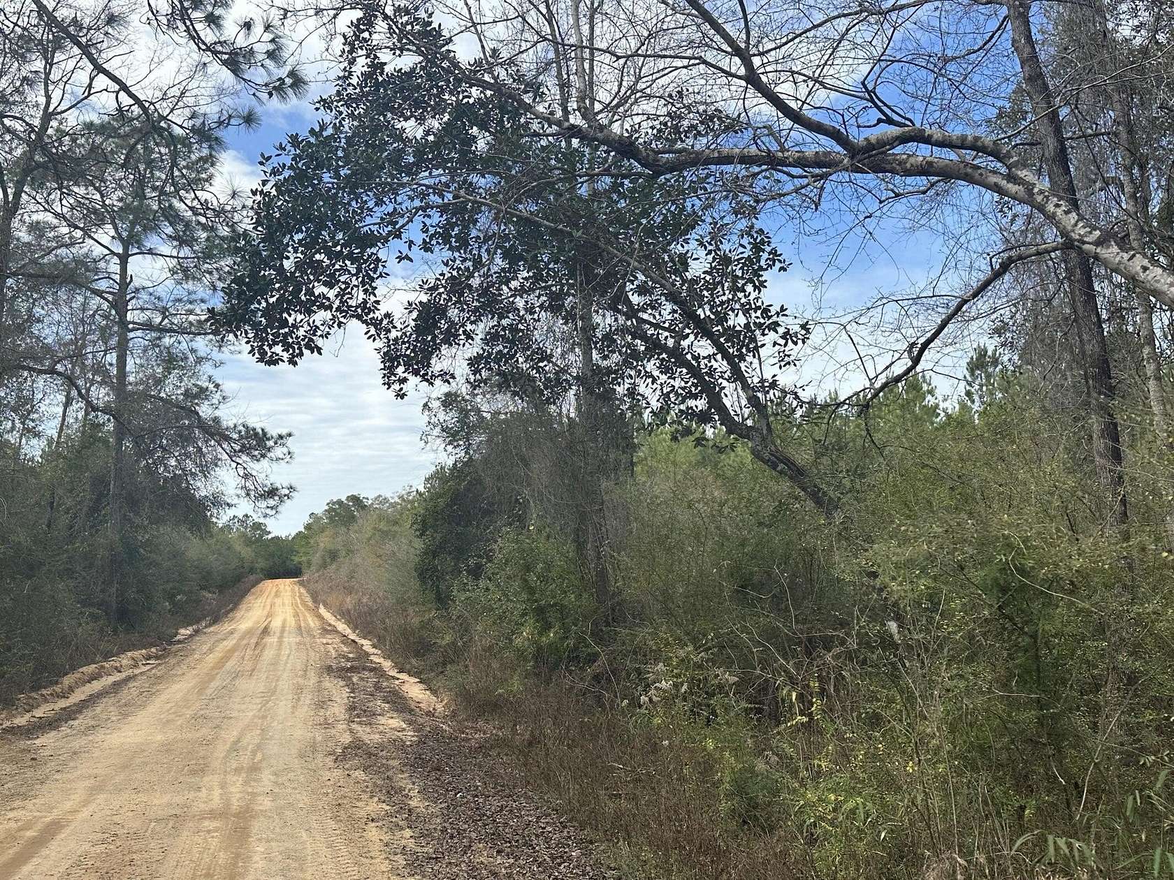 36 Acres of Recreational Land & Farm for Sale in Bonifay, Florida