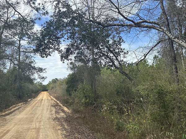 36 Acres of Recreational Land & Farm for Sale in Bonifay, Florida