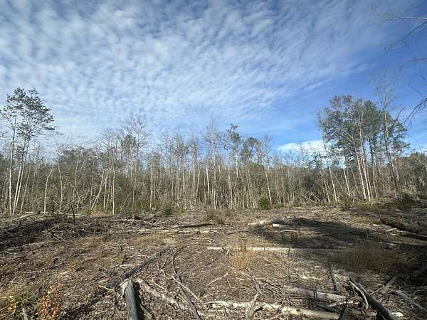 37.3 Acres of Recreational Land for Sale in Bonifay, Florida