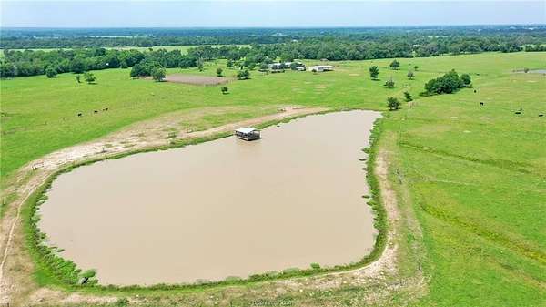 18 Acres of Land for Sale in Madisonville, Texas
