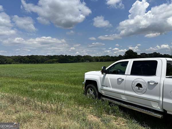 35.2 Acres of Land for Sale in Taylorsville, Georgia