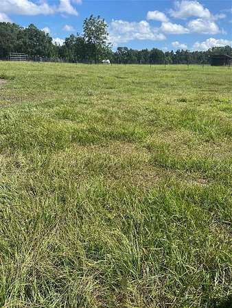 5.8 Acres of Residential Land for Sale in Ocala, Florida