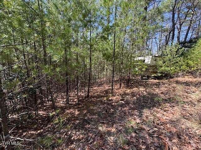 0.46 Acres of Residential Land for Sale in Sugar Grove, Virginia