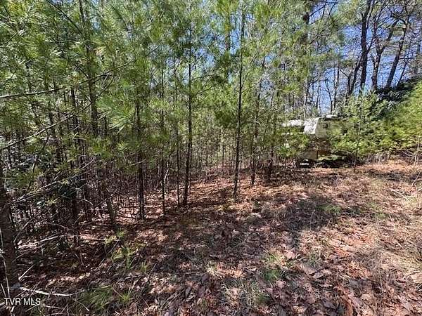 0.46 Acres of Residential Land for Sale in Sugar Grove, Virginia