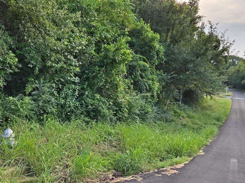 0.29 Acres of Residential Land for Sale in Palestine, Texas