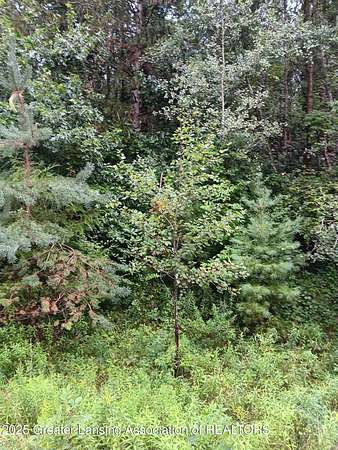 Residential Land for Sale in Owosso, Michigan