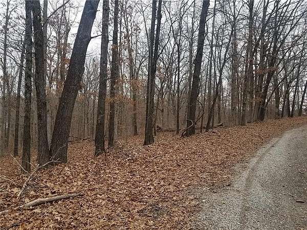 0.24 Acres of Residential Land for Sale in Bella Vista, Arkansas