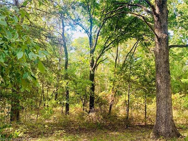 40 Acres of Recreational Land for Sale in Chester, Arkansas