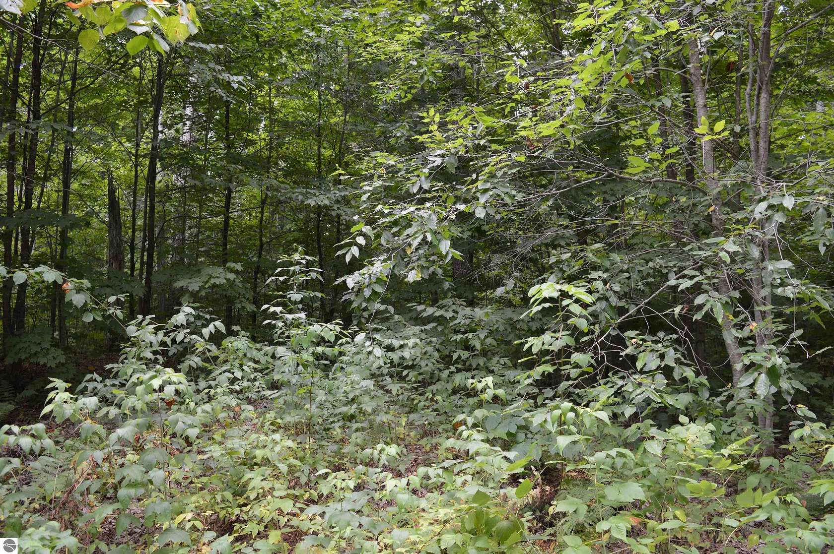 5 Acres of Land for Sale in Kalkaska, Michigan