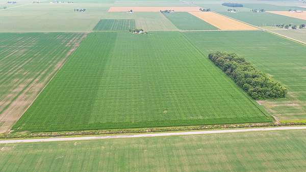 79 Acres of Agricultural Land for Auction in Woodburn, Indiana