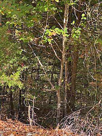 1.87 Acres of Land for Sale in Cherokee Village, Arkansas