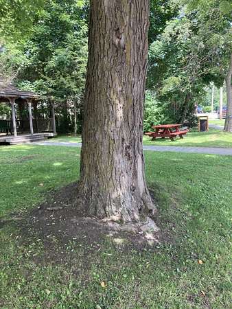 0.24 Acres of Commercial Land for Sale in Cherry Valley, New York