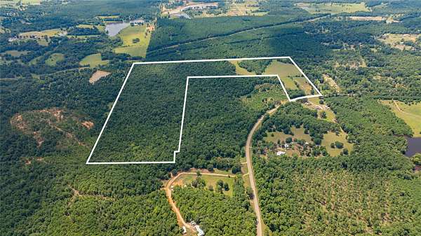 88.6 Acres of Recreational & Residential Land for Sale in Diana, Texas