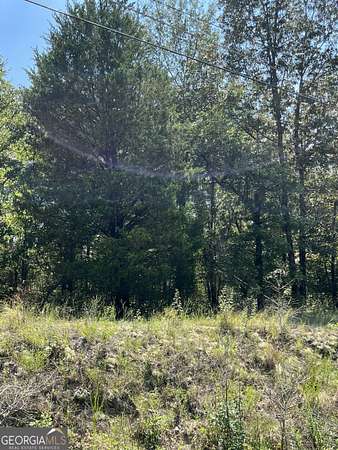18 Acres of Land for Sale in Fort Valley, Georgia