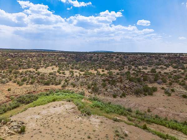 400 Acres of Recreational Land with Home for Sale in Quemado, New Mexico